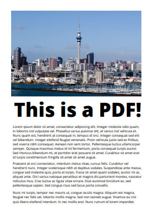 PDF