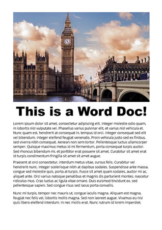 Word Document